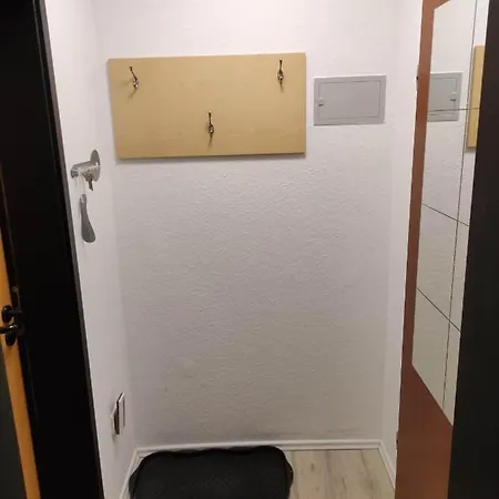 Lang Appartement Willingen (Upland)