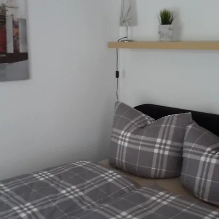 Lang Appartement Willingen (Upland)